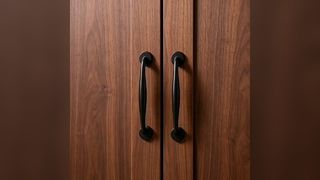 Cajón minimalista nórdico ha del gabinete plateado cromo del negro del oro moderno de lujo ligero de la puerta del gabinete