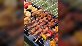 Nuevo Estufa de barbacoa, parrilla casera, estufa de barbacoa plegable portátil para exteriores, pequeña herramienta para barbacoa